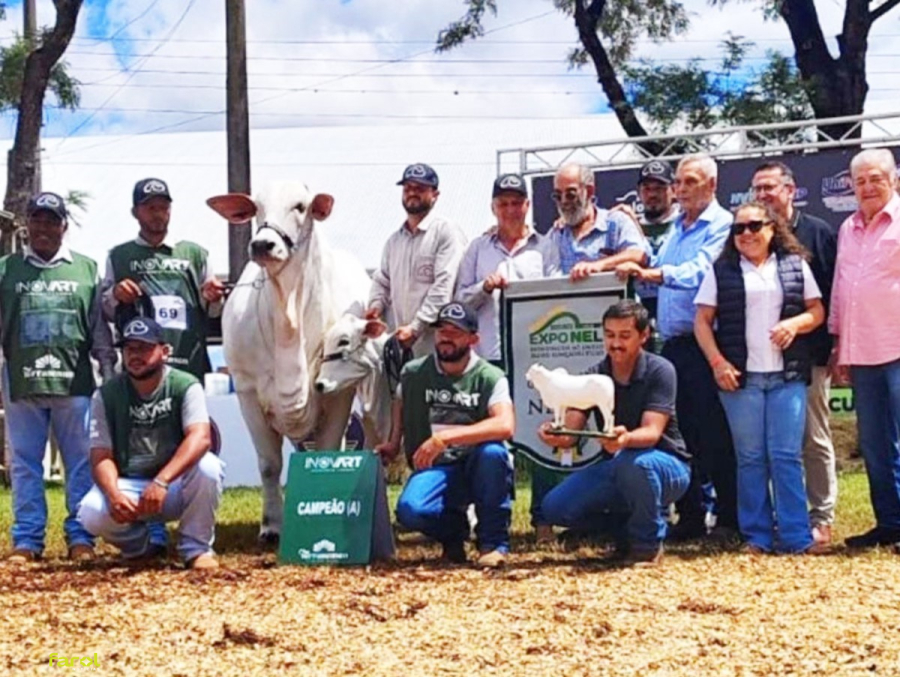Exposição destaca município na pecuária nacional e reúne elite do Nelore