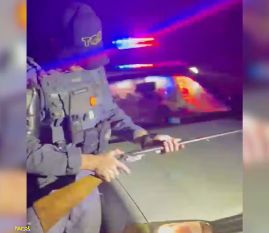 Polícia Rodoviária prende homem por porte ilegal de arma e caça de cervos no interior de São Paulo