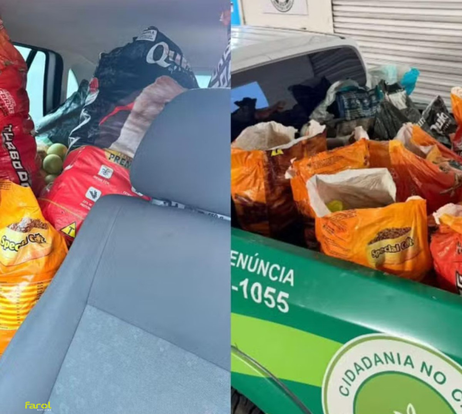 GCM recupera cerca de 200 quilos de laranjas furtadas de fazenda 
