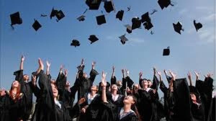 Como Validar um Diploma Estrangeiro no Brasil? O Guia Definitivo da Plataforma Carolina Bori