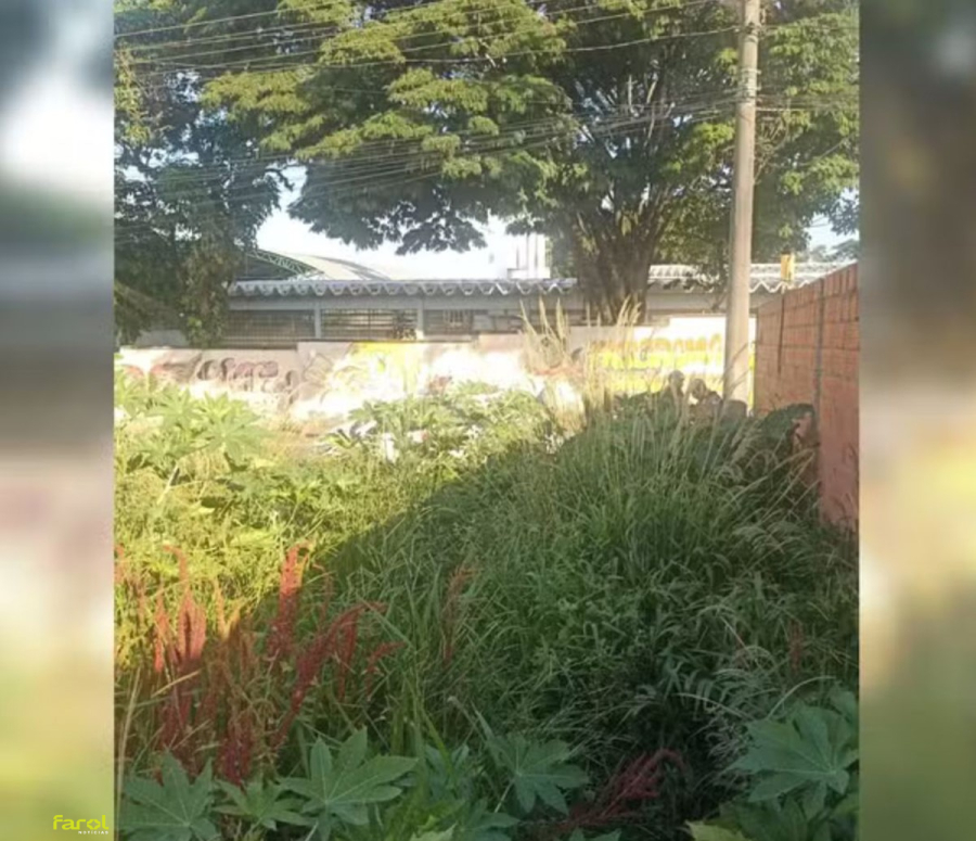 Polícia Civil prende suspeito de espancar homem até a morte