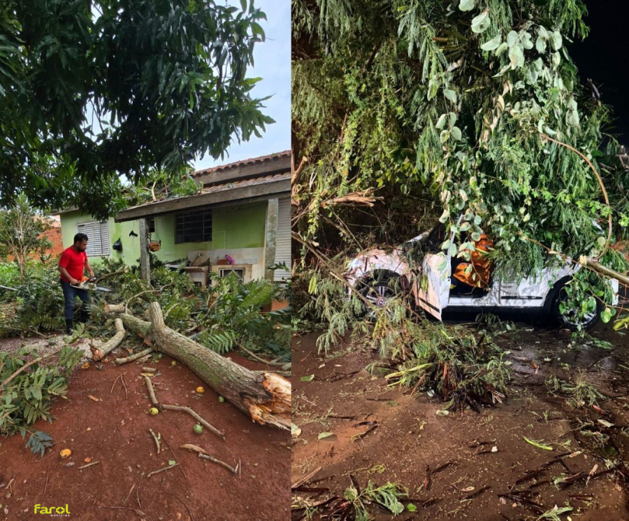 Chuva intensa provoca queda de árvores e mobiliza equipes da Defesa Civil