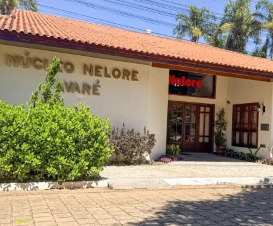 Exponel 2026: Evento considerado a maior vitrine da genética Nelore do Brasil acontece na próxima semana