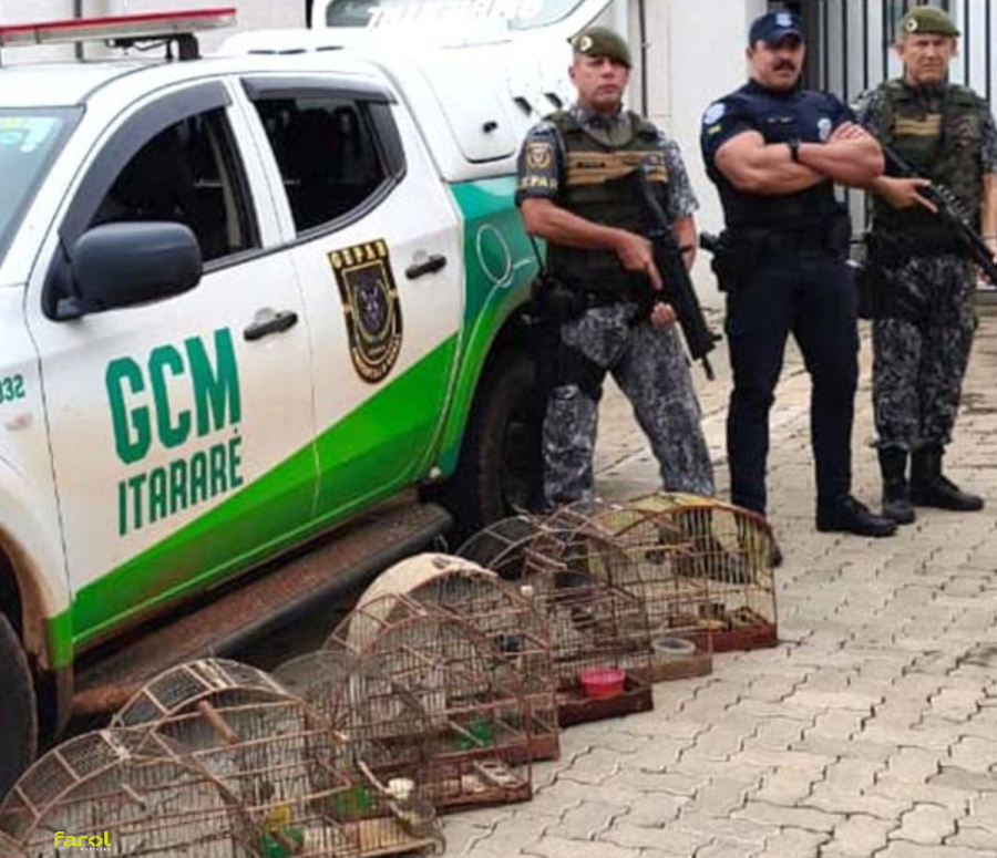 Aves silvestres mantidas em cativeiro são resgatadas pela GCM