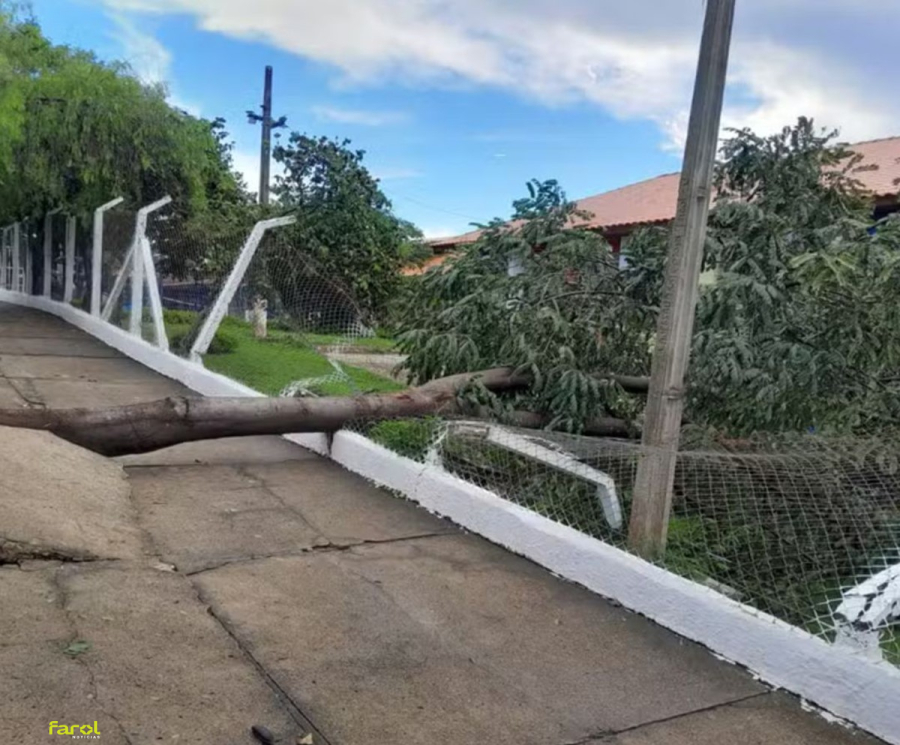 Chuva com rajadas de até 65 km/h causa enxurradas, deslizamentos e queda de árvores