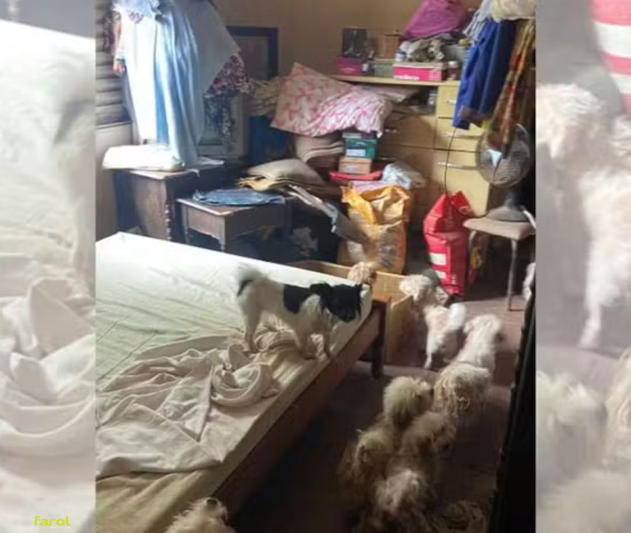 Mulher é multada em R$ 45 mil por manter 15 cães em situação de maus-tratos 