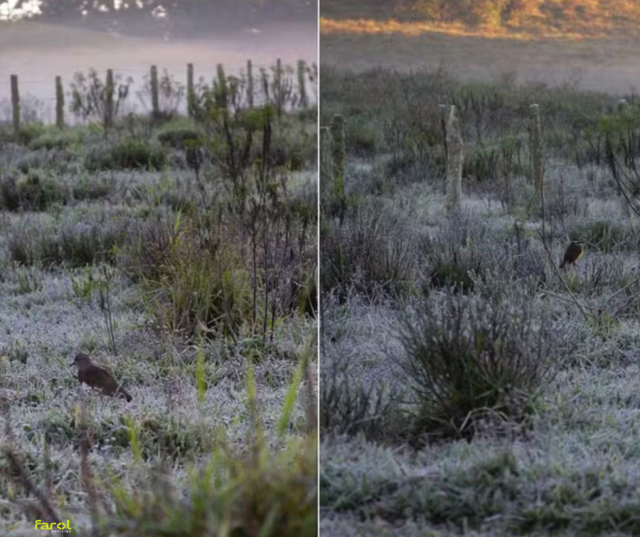 Bom Sucesso de Itararé amanhece com temperatura negativa e paisagem coberta por geada