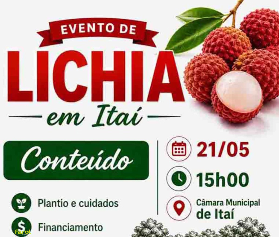 Município recebe na quinta-feira, 21, evento técnico focado no cultivo e comercialização de lichia