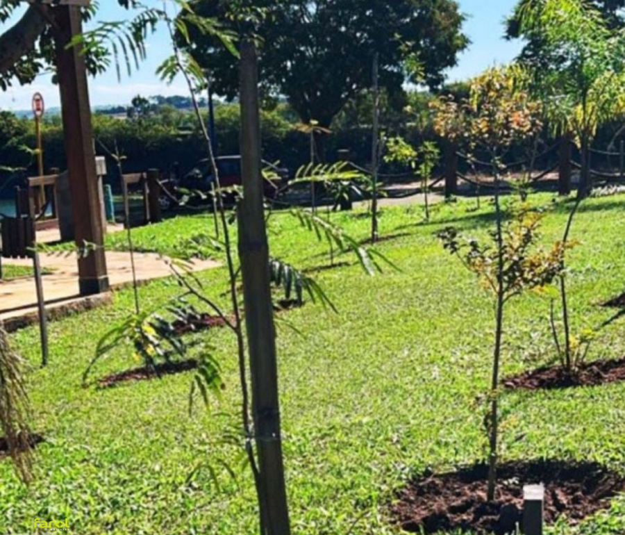 Camping Municipal passa por ação de segurança e renovação ambiental