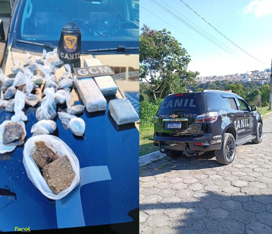 Cão farejador da Guarda Municipal localiza grande quantidade de drogas em área de mata