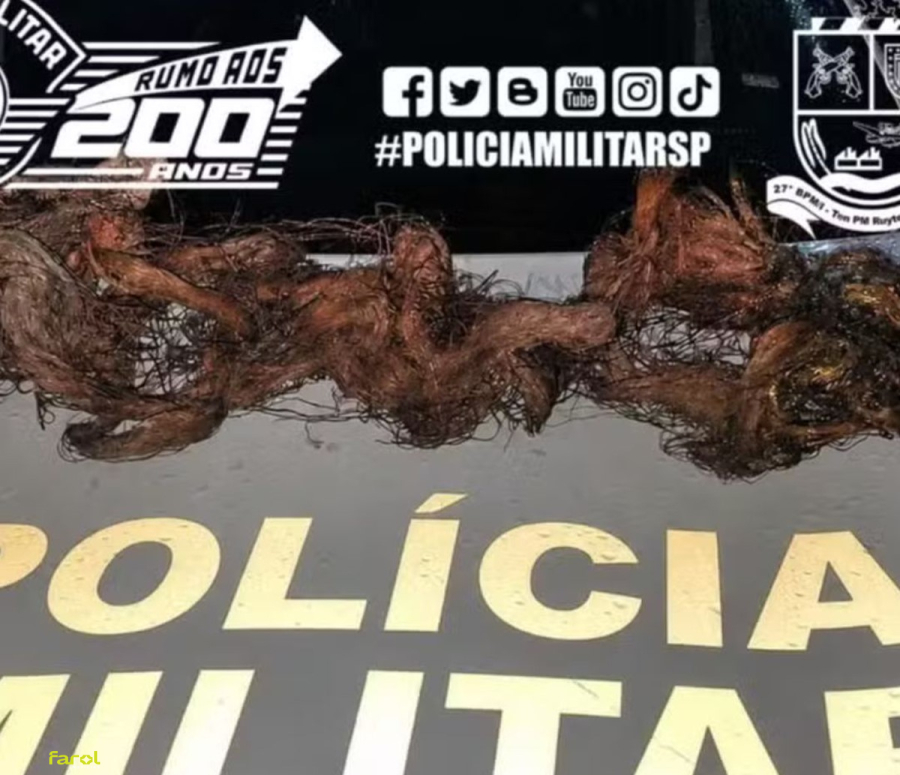 Polícia prende homem com 10 kg de cobre furtado de cabos de telefonia 