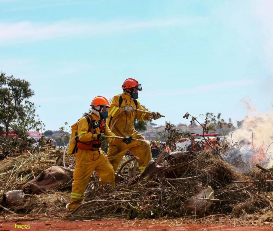 Defesa Civil alerta para risco elevado de incêndios no interior de São Paulo durante feriado