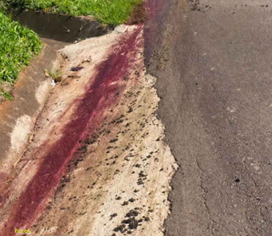 Ônibus colide com cavalo na SP-245 entre Avaré e Cerqueira César; motorista fica gravemente ferido