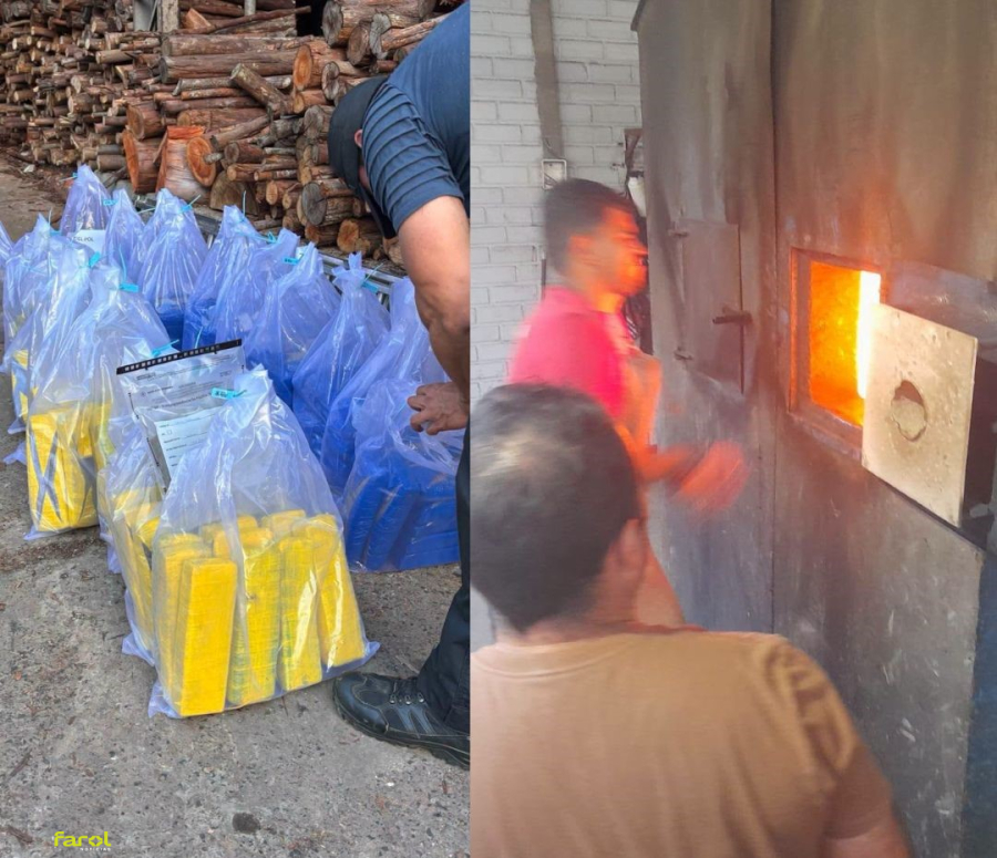 Polícia Civil incinera mais de 220 quilos de drogas apreendidas na região