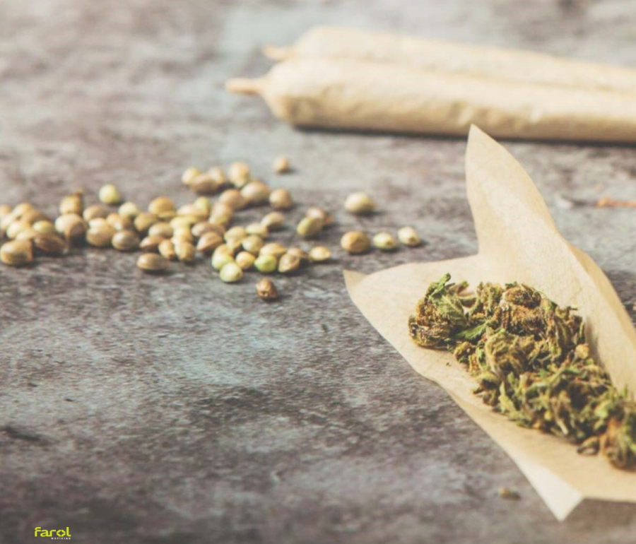 Prefeitura entra na Justiça contra realização da Marcha da Maconha