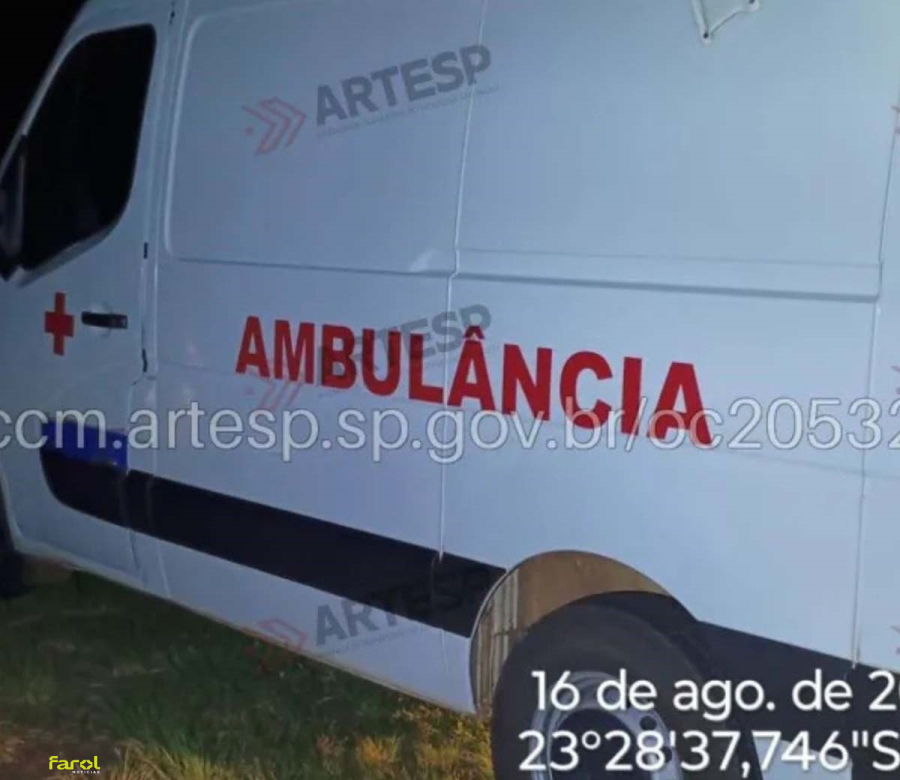 Capivaras provocam acidente em série na SP-255 e envolvem três veículos, incluindo ambulância