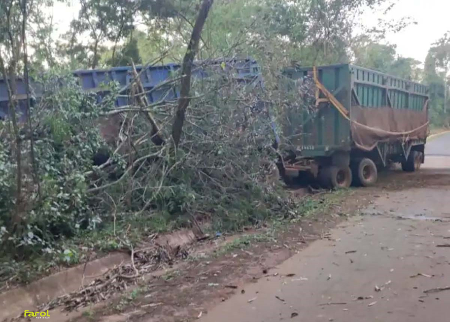 Caminhoneiro morre após caminhão sair da pista e parar em área de mata 