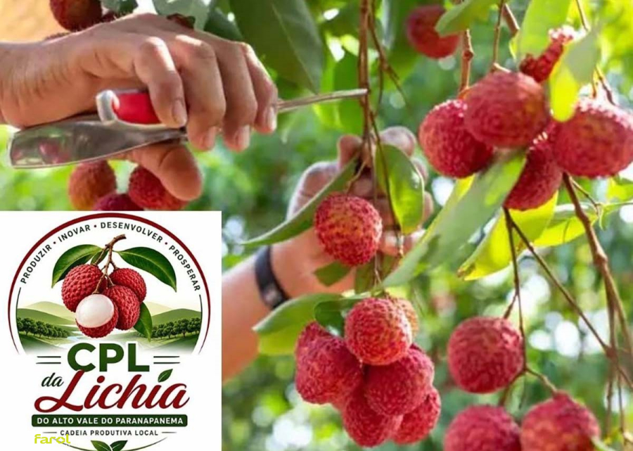 Município recebe encontro sobre produção e oportunidades na cultura da lichia