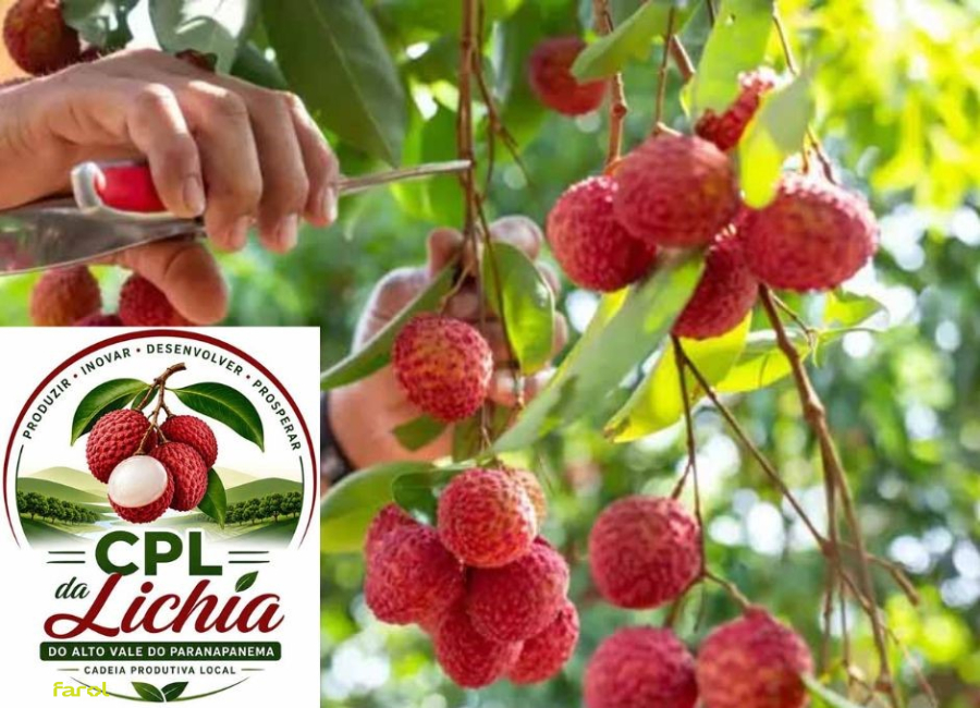 5º Encontro da CPL da Lichia acontece nesta quinta-feira