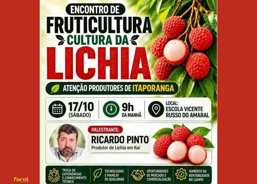 Encontro apresenta oportunidades de produção e comercialização de lichia