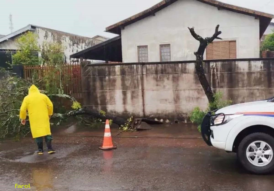 Tempestade derruba árvores e mobiliza Defesa Civil 