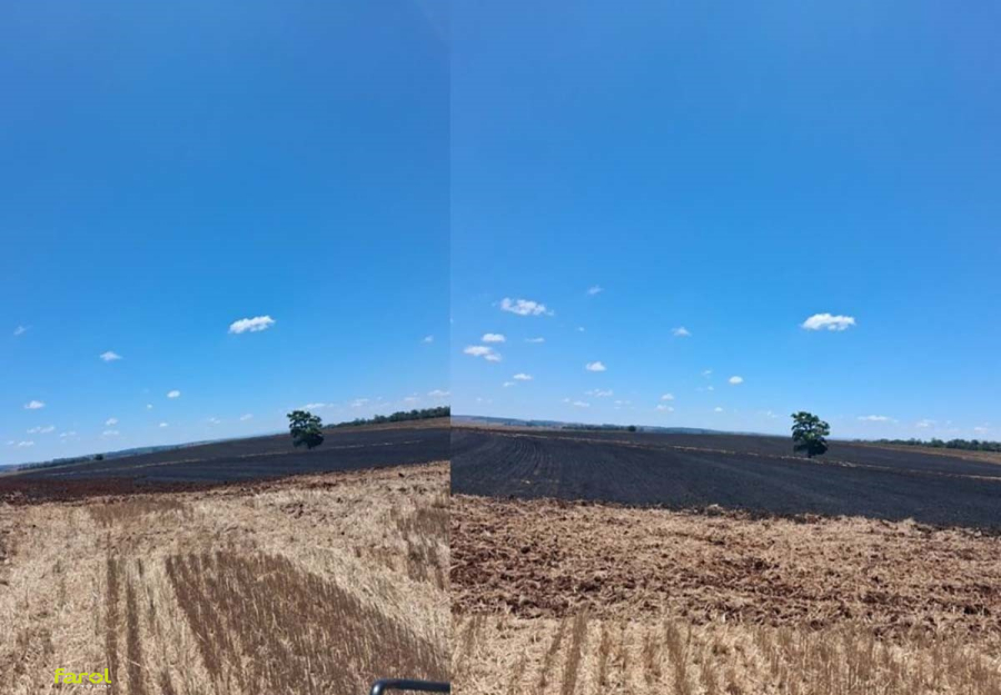 Defesa Civil combate incêndio em área rural do município