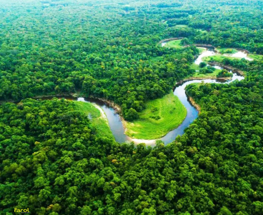 Colômbia proíbe novos projetos de petróleo e mineração na Amazônia