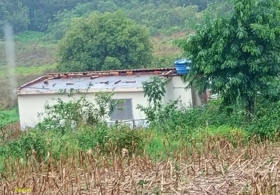 Chuva forte e ventos de até 48 km/h causam danos em área rural 